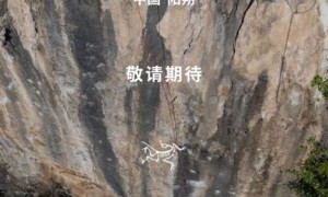高层离职,始祖鸟还有救吗?