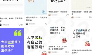“教授8万副教授7万博士6万”:部分高校职称晋升现“金钱游戏”,教师横向课题考核催生造假产业链